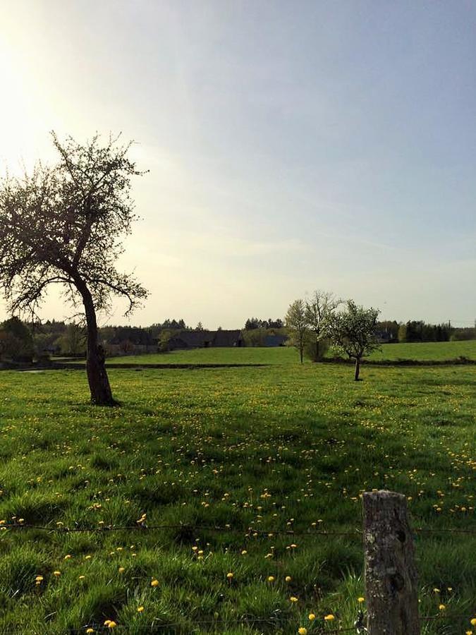 Auberge De Saint Julien Aux Bois Dış mekan fotoğraf