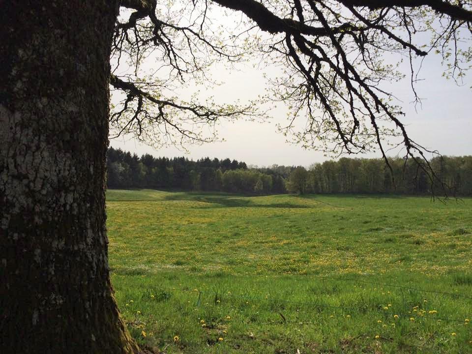 Auberge De Saint Julien Aux Bois Dış mekan fotoğraf