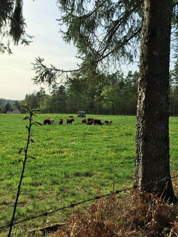Auberge De Saint Julien Aux Bois Dış mekan fotoğraf